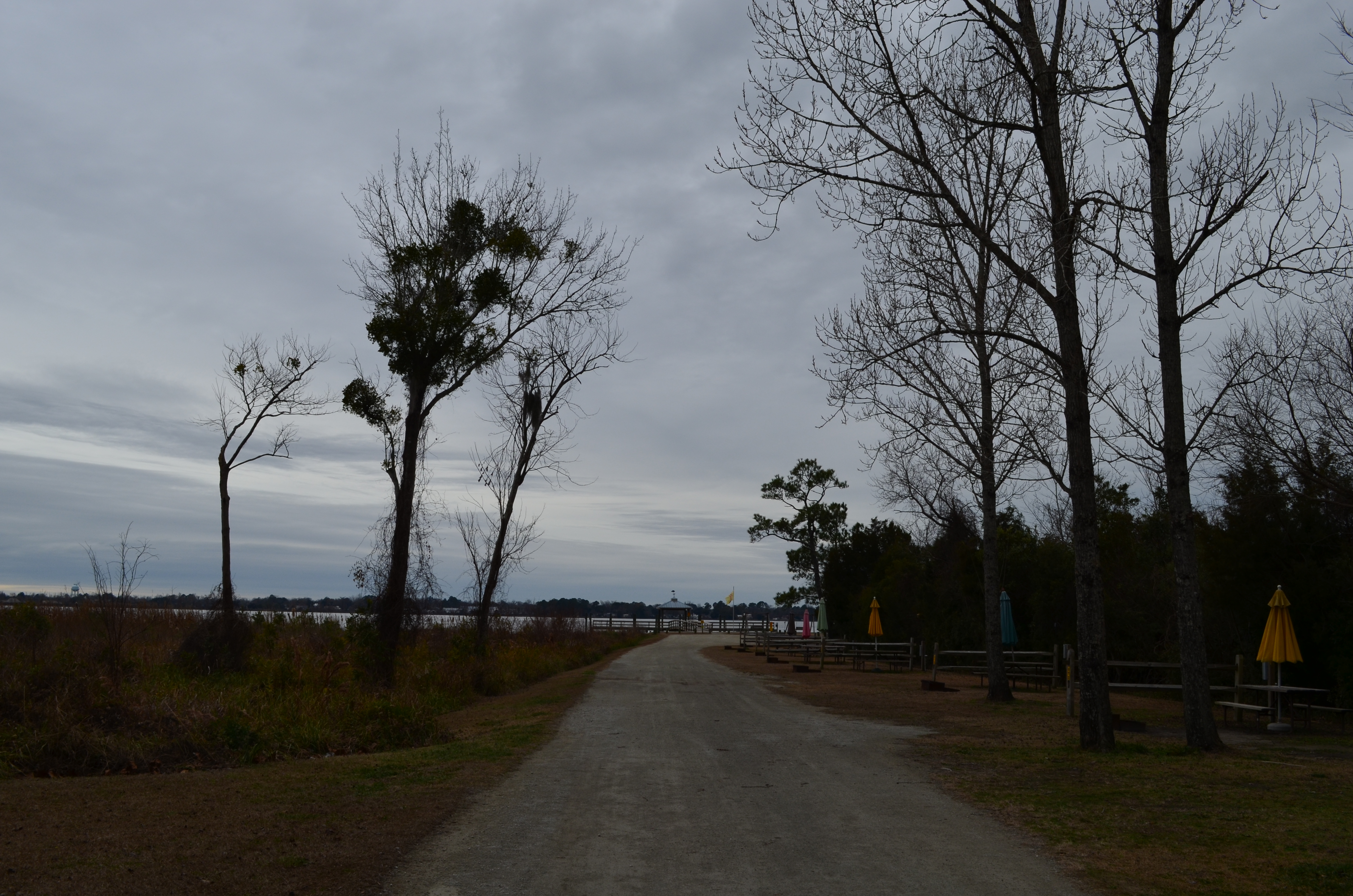 ./2017/01 - New Years/03 - KOA/DSC_0525.JPG